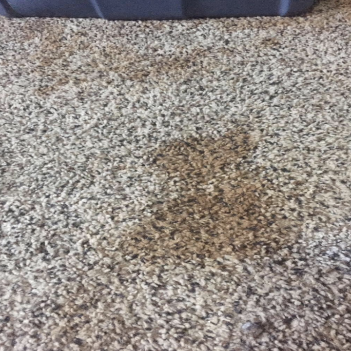 an unsightly stain on carpet