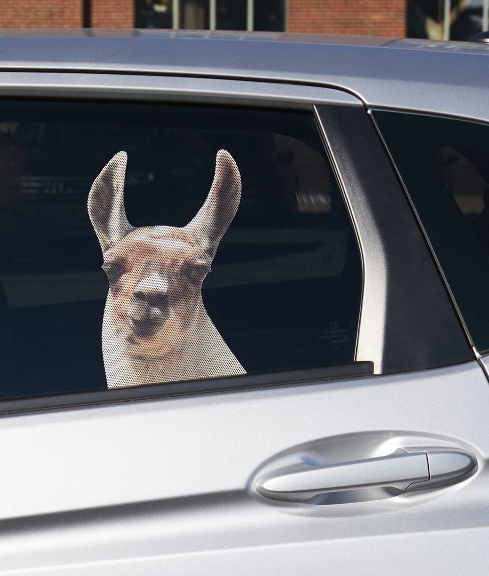 Promising review: "My son came out to go to school in the morning and he screamed because he thought this was a real llama, and he is very afraid of llamas. 10/10 recommend if your son is not afraid of llamas." —dabontheh8rsGet it from Urban Outfitters for $8.