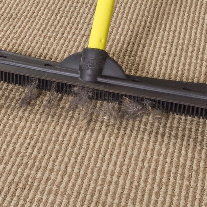 The broom's bristles picking up hair on carpet