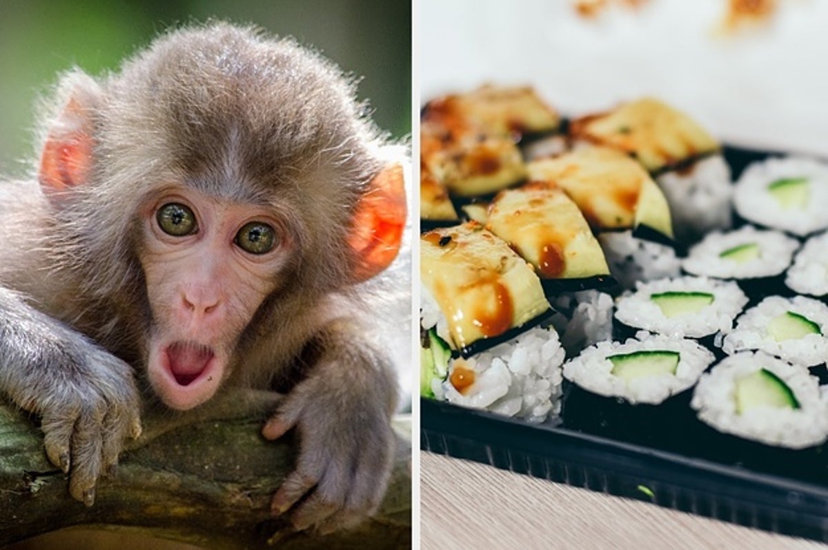 We'll Tell You What Animal You Are Based On Your Food Preferences