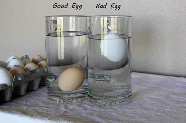 good egg sinks in a glass of water; bad egg floats