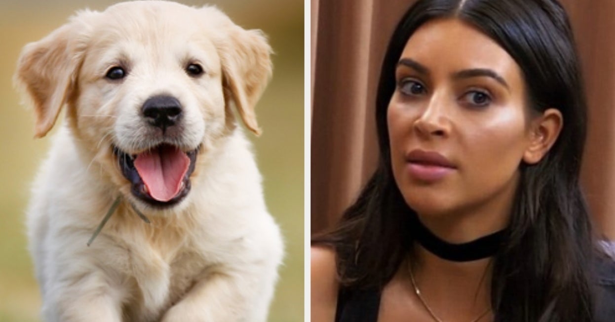Name These Pups And We'll Guess Your Biggest Pet Peeve