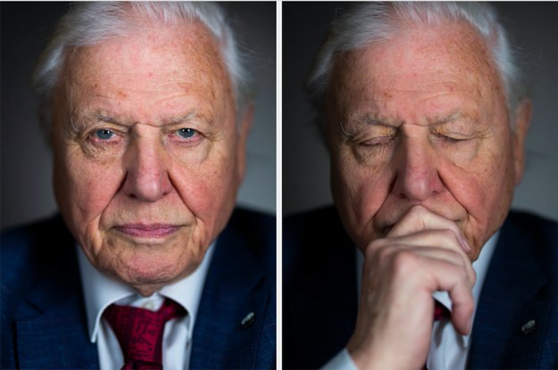 Sir David Attenborough Urges Young People: "Don't Lose The Treasure Of The Natural World In The Face Of Computers”
