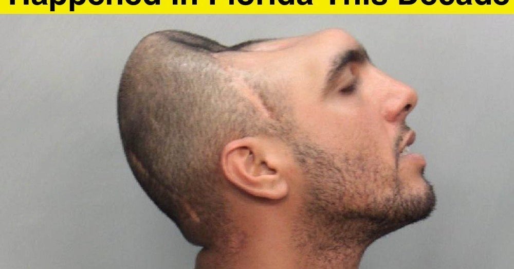 The 99 Craziest Things That Happened In Florida In The 2010s