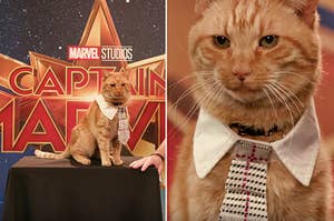 Goose The Cat Getting Ready For The "Captain Marvel" Premiere Is All You Need Today