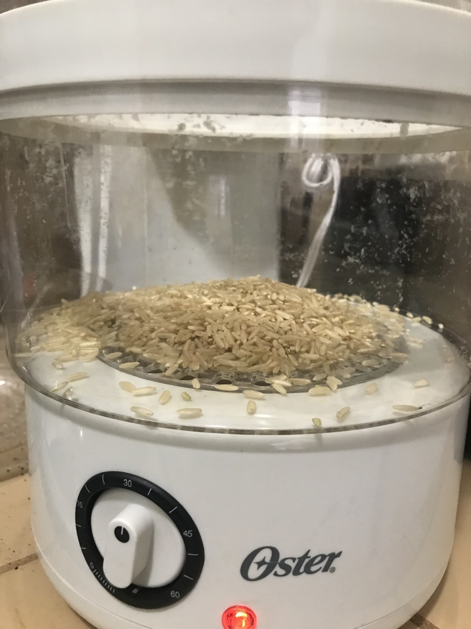 There's A Food Steamer On Amazon That Has Over 800 5Star Reviews, So I