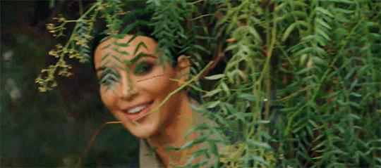 Image result for kim kardashian bush meme"