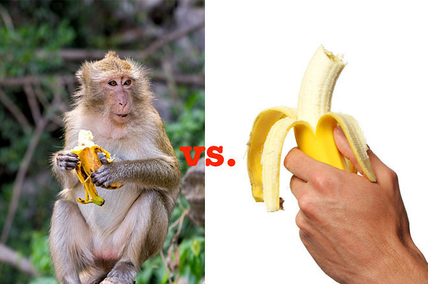 How To Eat Bananas Like A Monkey