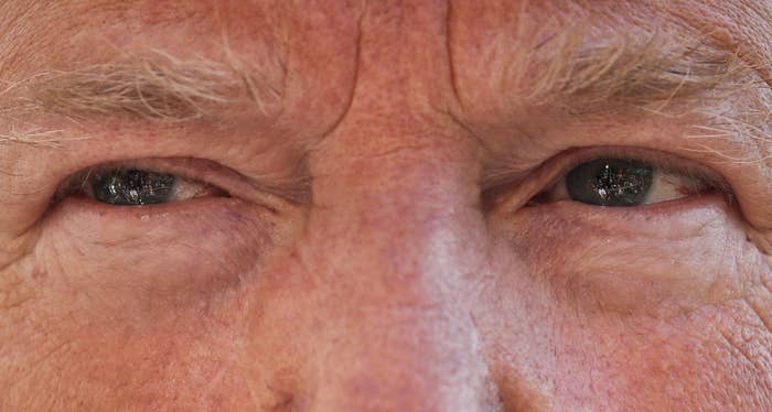 This Picture Of Donald Trump S Eye Is As Beautiful As It Is Terrifying