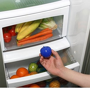 hand holding blueapple in front of crisper drawer