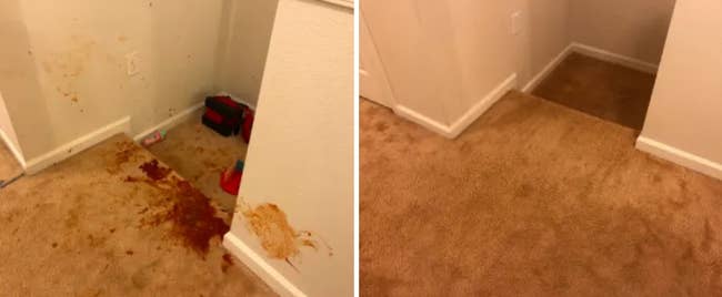 A photo of a stained carpet next to another photo of the same carpet with the stain removed
