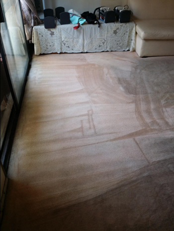 A person's carpet looking progressively cleaner 