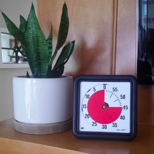 The timer propped up next to a medium size plant pot, which is the same height