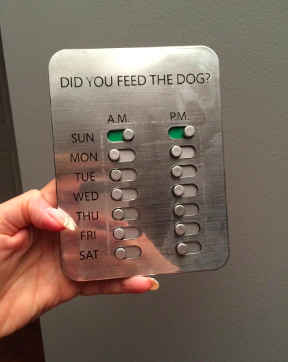 The panel that reads &quot;Did you feed the dog?&quot; and has toggles to slide over for A.M. and P.M. each day of the week