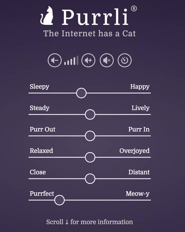 quot purrli com!    is a game changer it simulates the sound of a - instagram follower buy!   ing reliable and cheap the frisky