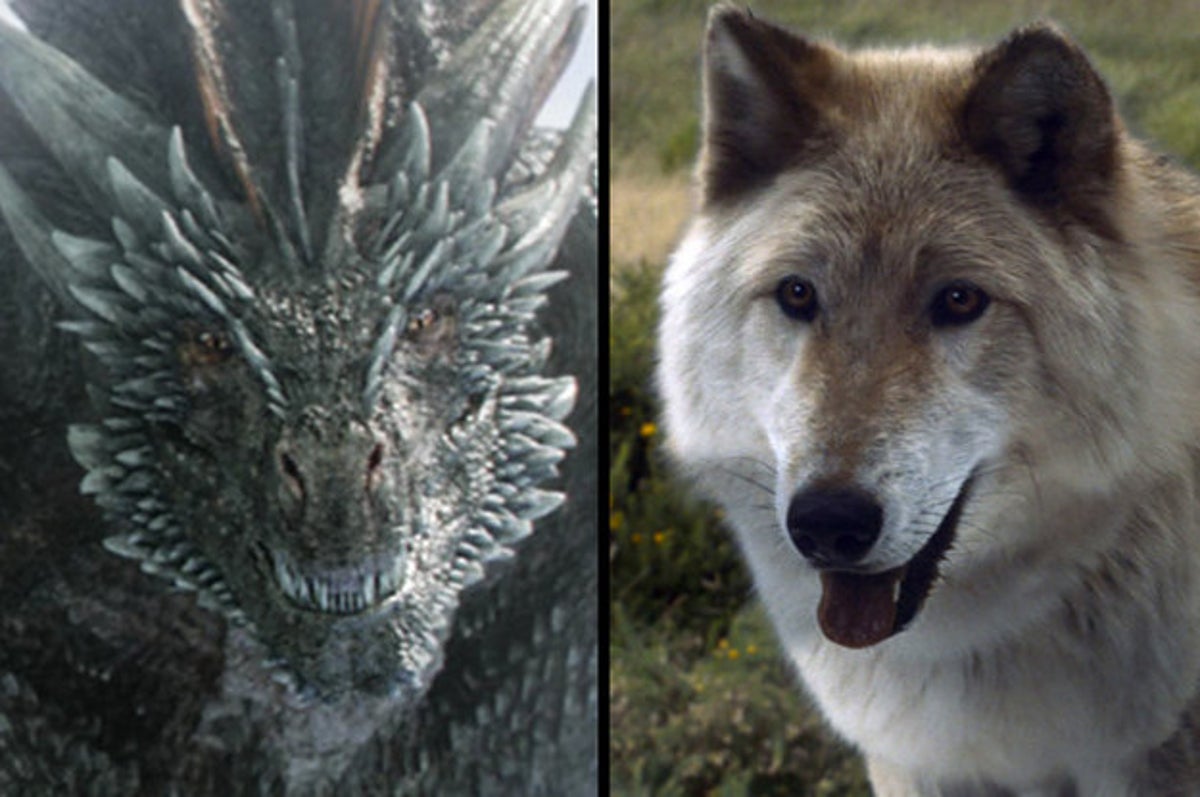Which "Game Of Thrones" Dragon And Direwolf Combination Are You?