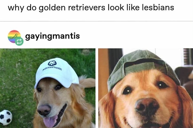22 Jokes About Lesbians That Ya Gotta Admit Are 100% Accurate