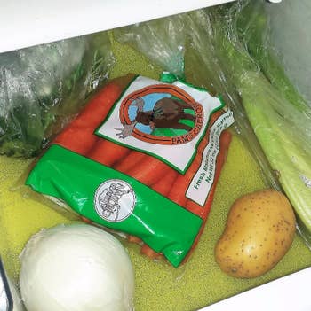 fridge drawer open with veggies inside