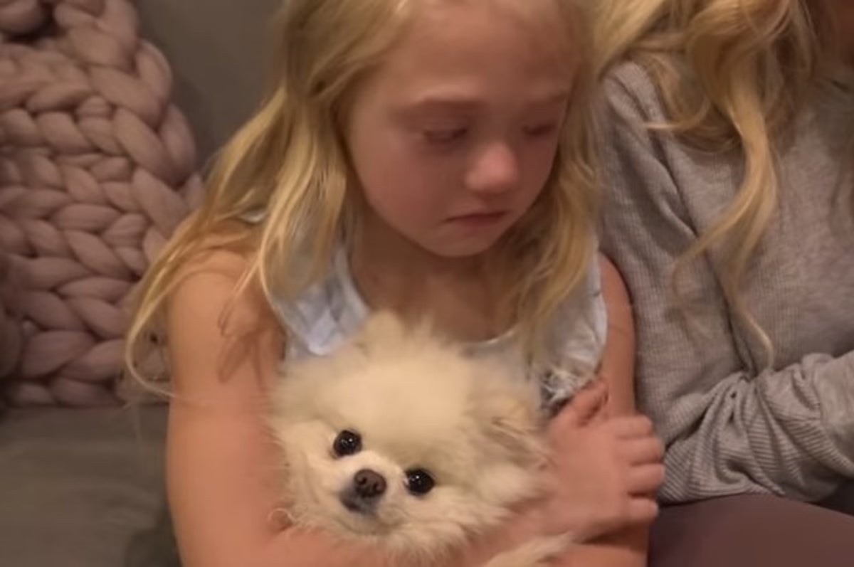 Youtubers Cole And Sav Pranked Their 6 Year Old Everleigh By Pretending To Get Rid Of Her Puppy And People Are Furious - me enganaron en adopt me roblox invidious