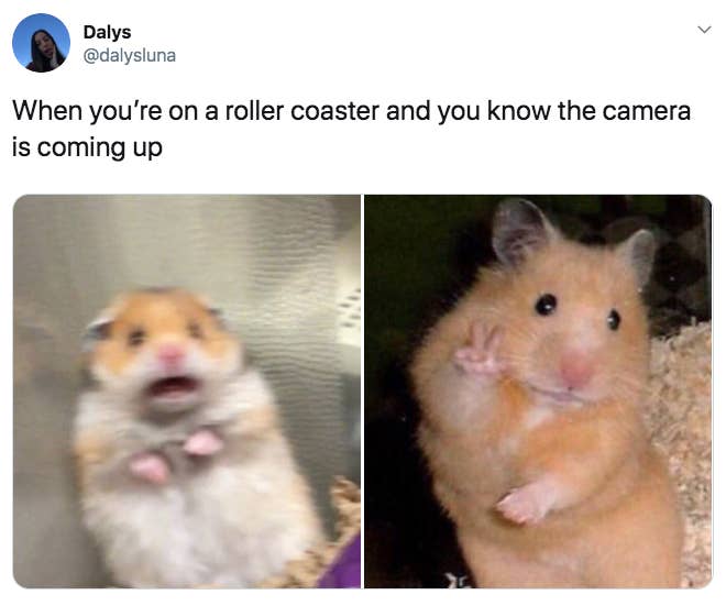 99 Of The Funniest Pictures On The Internet 99 Of The Funniest Pictures On The Internet