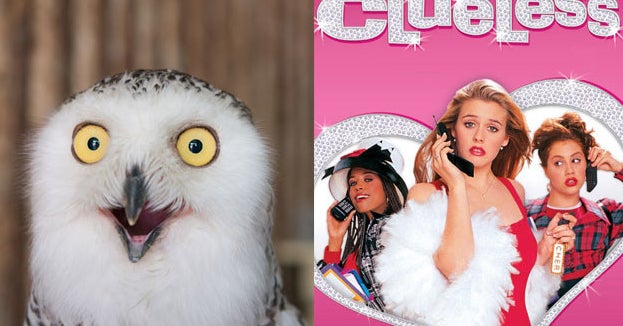 If You Can Pass This Quiz, You Have A Vast Knowledge Of Everything