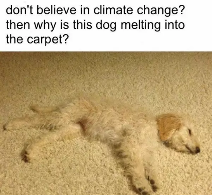 24 Tweets And Jokes For Anyone Who Loves The Planet