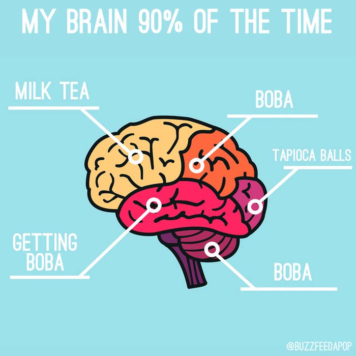 A drawing of a brain with &quot;milk tea,&quot; &quot;boba,&quot; &quot;tapioca balls,&quot; &quot;boba,&quot; and &quot;getting boba&quot; assigned to different parts of the brain