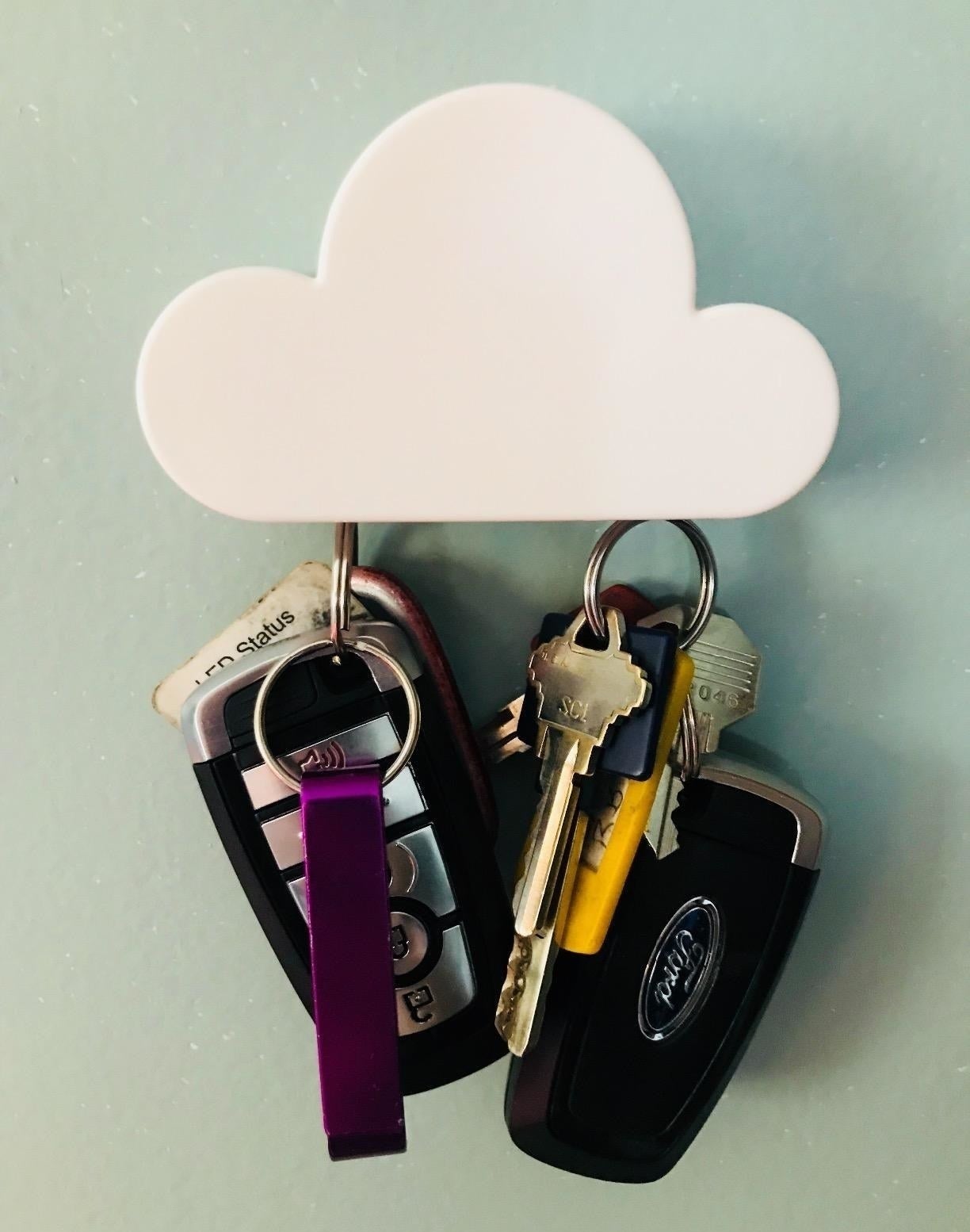 Reviewer photo of cloud-shaped key holder on wall