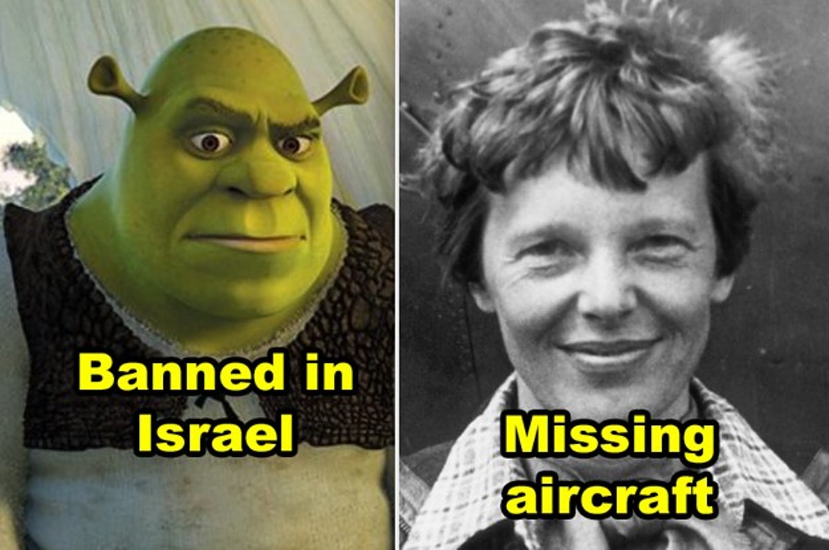 Shrek, The meme Wiki