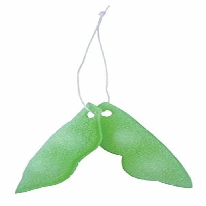 The beans, which look like pea pods