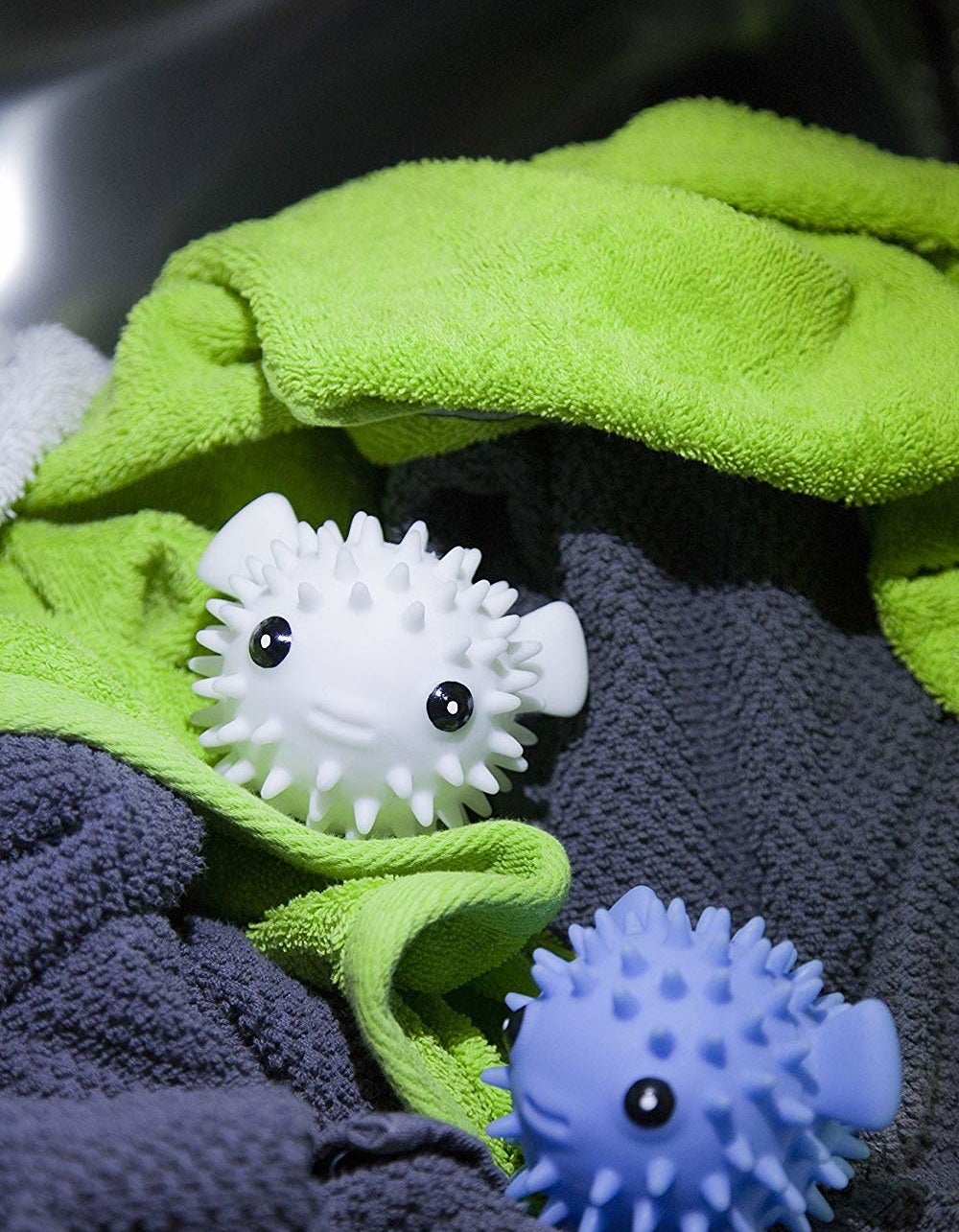 One white and one blue pufferfish nestled in towels