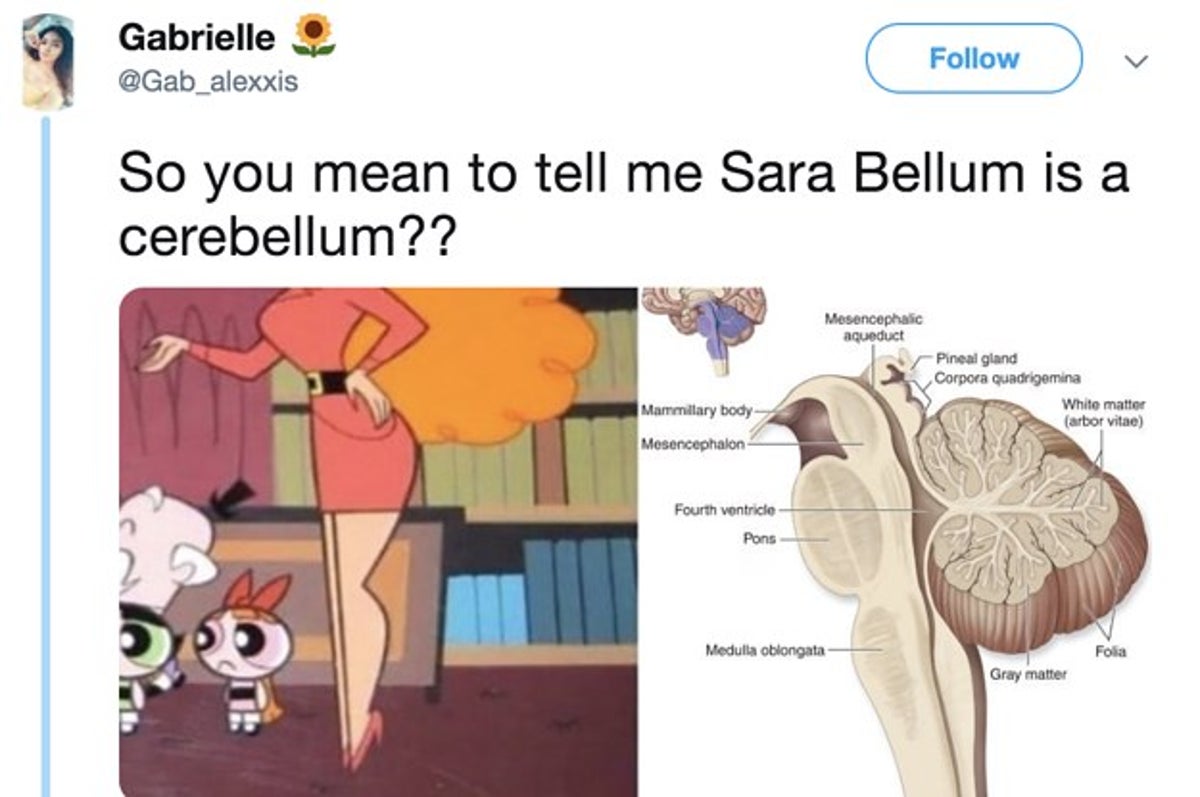 13 Tweets That Blew My Fricken Mind This Week