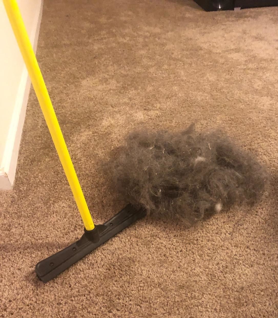 the broom next to a large mound of hair it swept out of the carpet