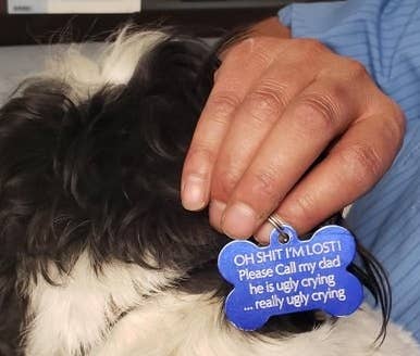 44 Hilarious Collar Tags For Pets Who Tend To Get Lost