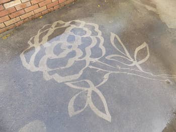 a rose cleaned into dirty cement