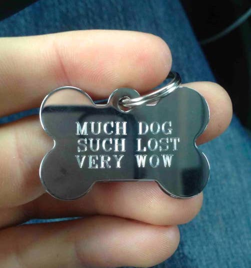 19 Pet Id Tags That Are Hilarious Yet Valid Forms Of Identification