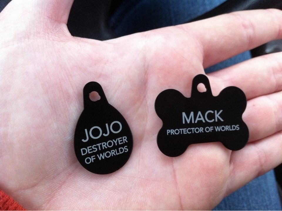 funny dog tags for dogs