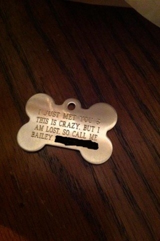 funny dog tag sayings