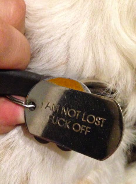 19 Pet ID Tags That Are Hilarious Yet Valid Forms Of Identification