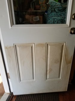 a before photo of a reviewer's dirty door 