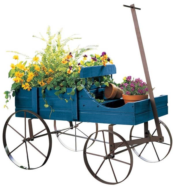 29 Lawn And Garden Products From Walmart You Need This Spring