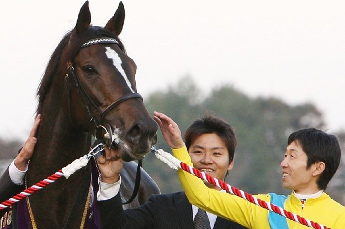 最強の牝馬ウオッカ死す 宿敵ダイワスカーレットとの名勝負をふりかえる