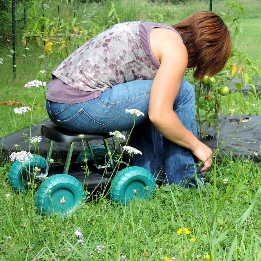 29 Lawn And Garden Products From Walmart You Need This Spring
