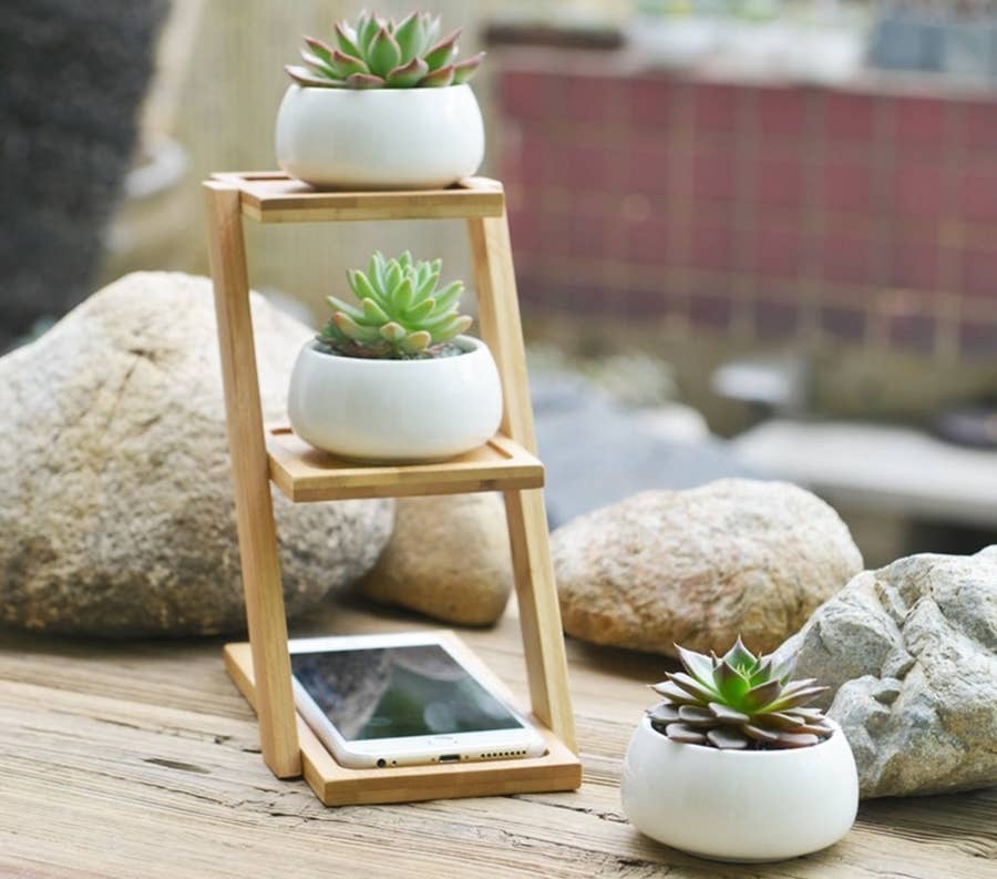 23 Plant And Gardening Products From Amazon That People Actually Swear By