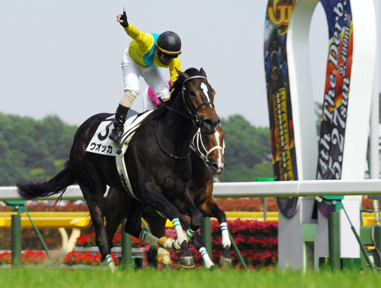 最強の牝馬ウオッカ死す。宿敵ダイワスカーレットとの名勝負をふりかえる