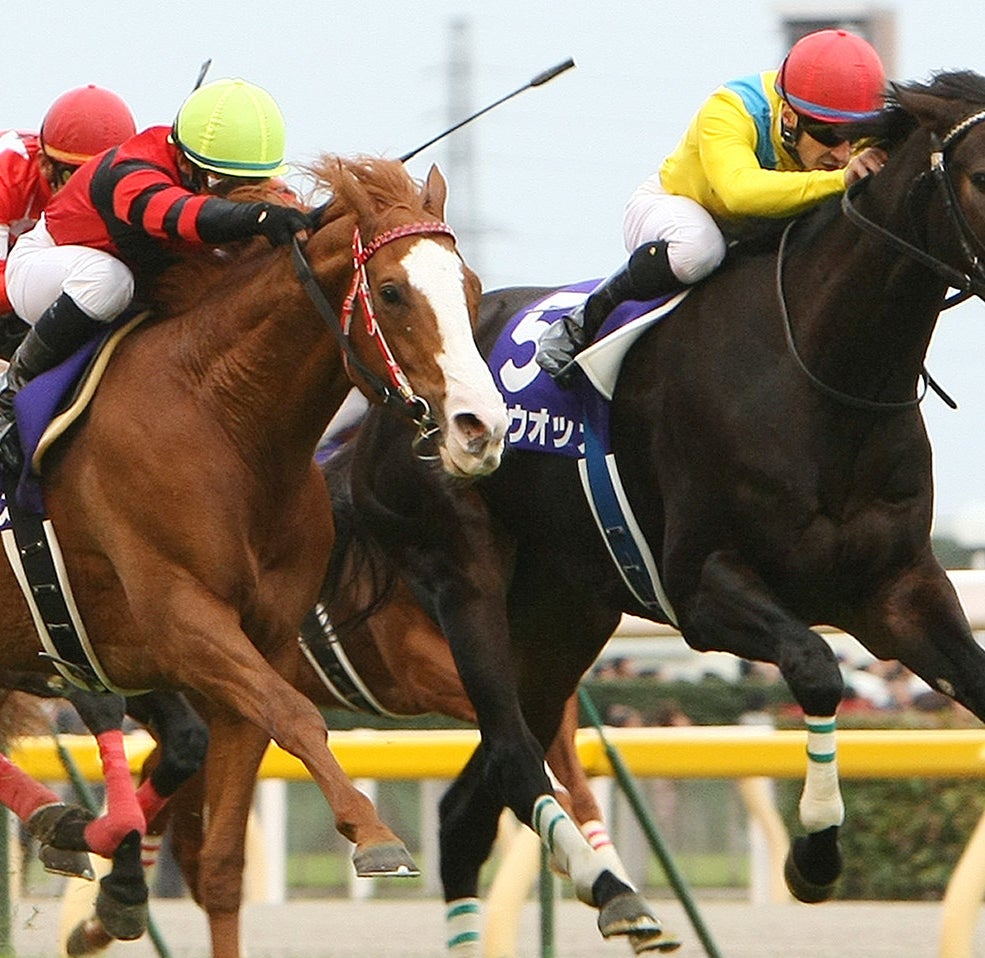 最強の牝馬ウオッカ死す 宿敵ダイワスカーレットとの名勝負をふりかえる