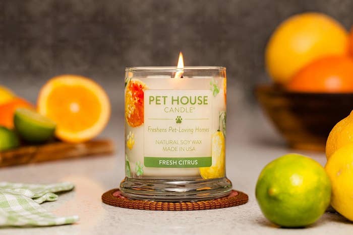 The Fresh Citrus scented candle burning on a table surrounded by limes, lemons, and oranges