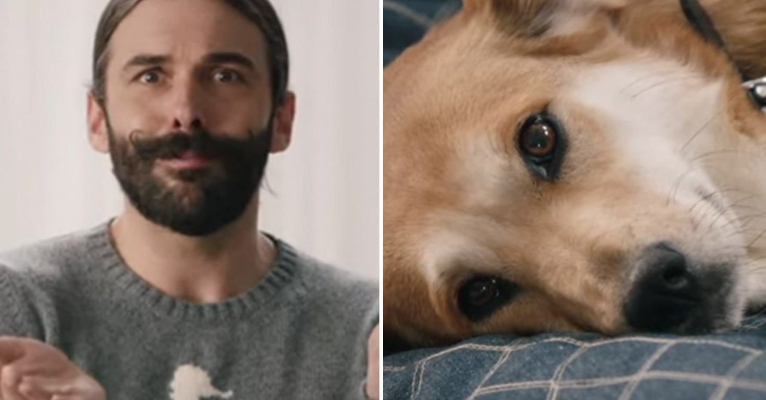 This "Queer Eye" Dog Makeover Is The Cutest Thing You'll See All Week