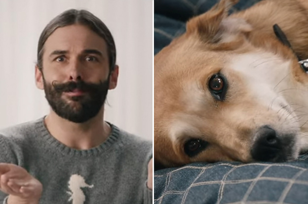 This "Queer Eye" Dog Makeover Is The Cutest Thing You'll See All Week