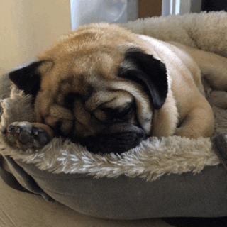 "Sometimes I just need a hard reset, so I start winding down at like 6:00 p.m. and just fall asleep as early as possible with no alarm. On those nights, I typically sleep for 12 hours because my body and mind were just so tired. I wake up feeling infinitely better!"—hannahb4b5cc7f98